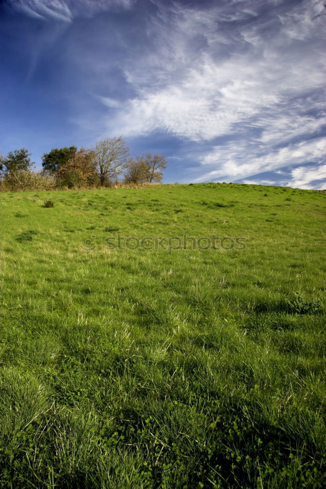 Similar – One shed 2 Barn Field