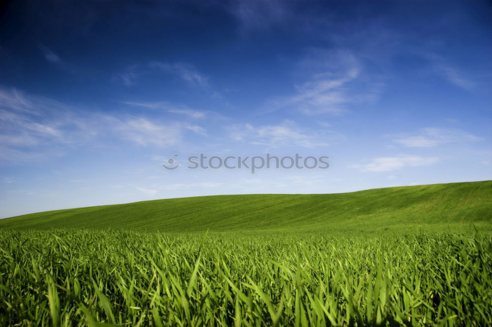 Similar – Foto Bild weites Feld Hügel Wiese