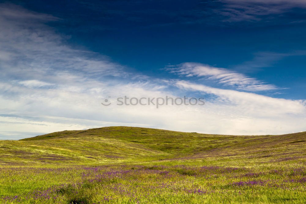 Similar – Image, Stock Photo Lonely farmhouse in the village Brae Of Achnaheird in Scotland