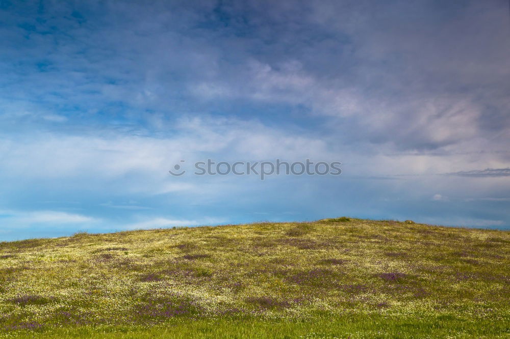 Similar – Image, Stock Photo Field with cloud in Sussex, South England, Great Britain