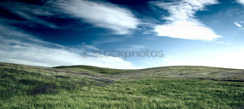 Similar – Image, Stock Photo old fence Horizon Shabby