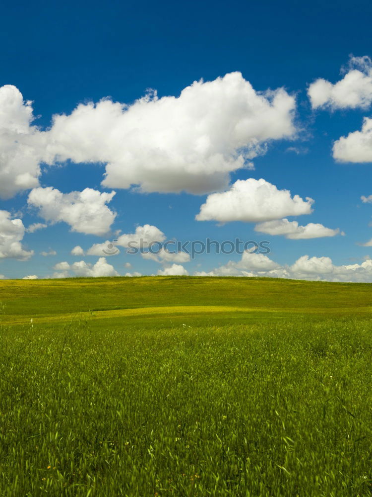 Similar – cheerful to cloudy Meadow