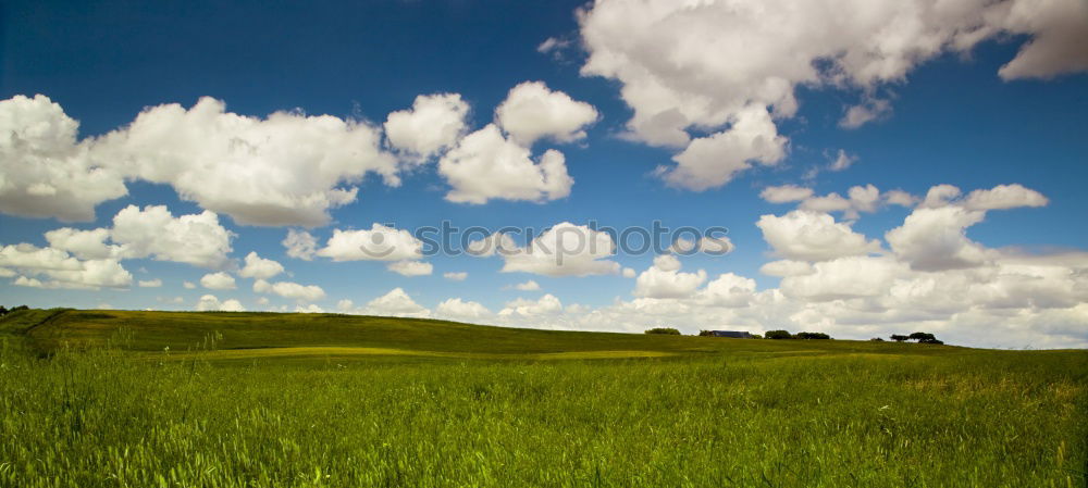 Similar – Chicago Skyline South