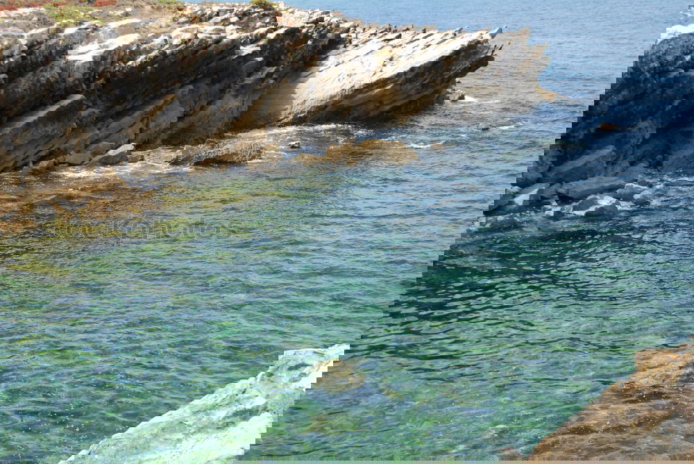 Similar – Image, Stock Photo Mallorca from its beautiful side 69
