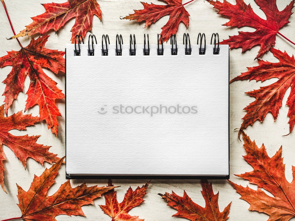 Similar – Image, Stock Photo Autumn leaves and pencil on old wood with spiral writing pad