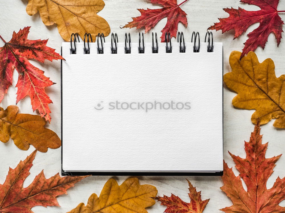 Similar – Image, Stock Photo Autumn leaves and pencil on old wood with spiral writing pad