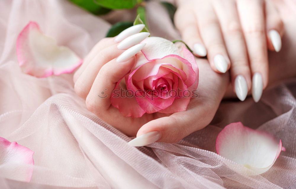 Image, Stock Photo Spring_02 Feminine