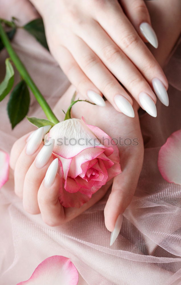 Similar – Image, Stock Photo Spring_02 Feminine