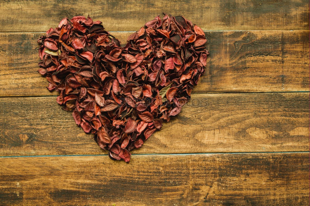 Similar – Image, Stock Photo Beautiful heart maked with dry petals