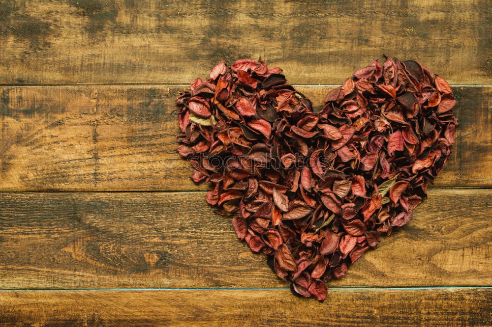 Image, Stock Photo Beautiful heart maked with dry petals