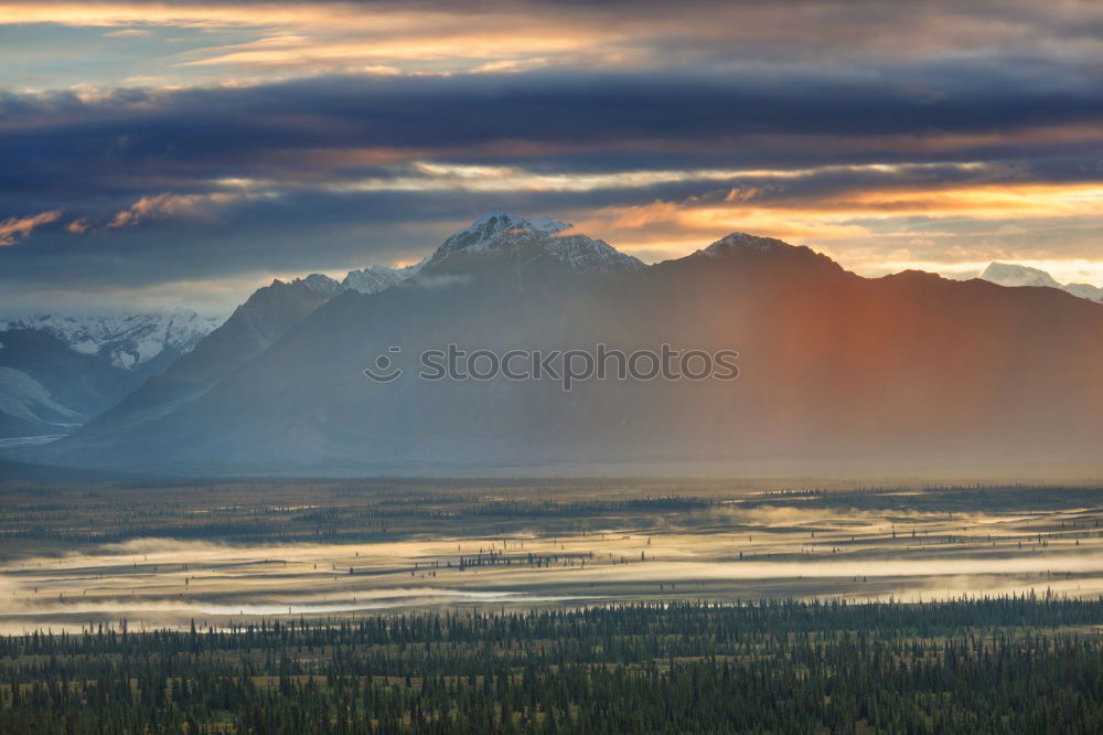 Similar – Image, Stock Photo in the morning