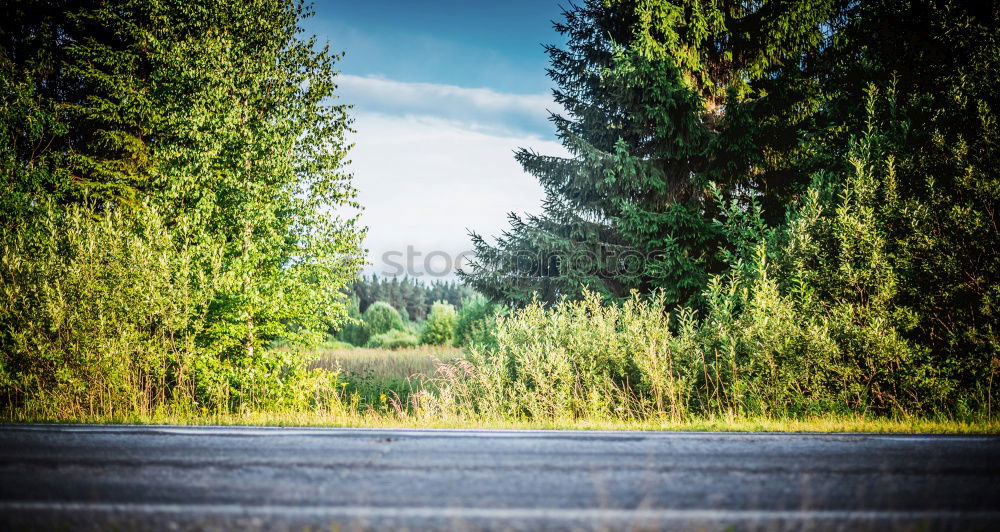 Similar – Image, Stock Photo road meadow Environment