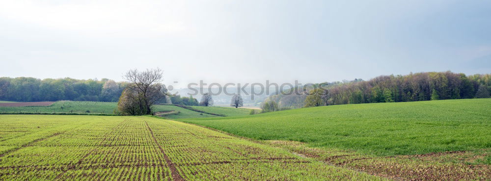 Similar – Image, Stock Photo Lake District Meadow Tree