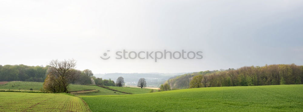 Similar – Image, Stock Photo low pressure area