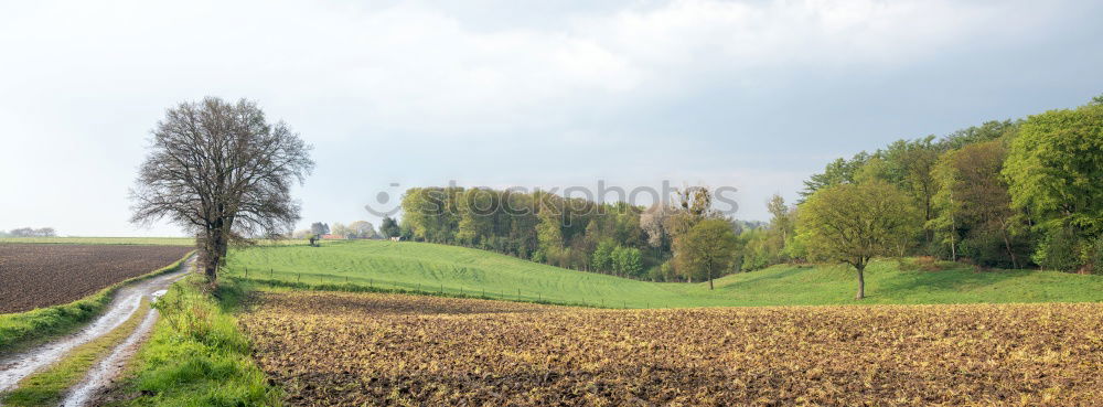 Similar – Austria spring green and yellow colza fields. Village on hills.