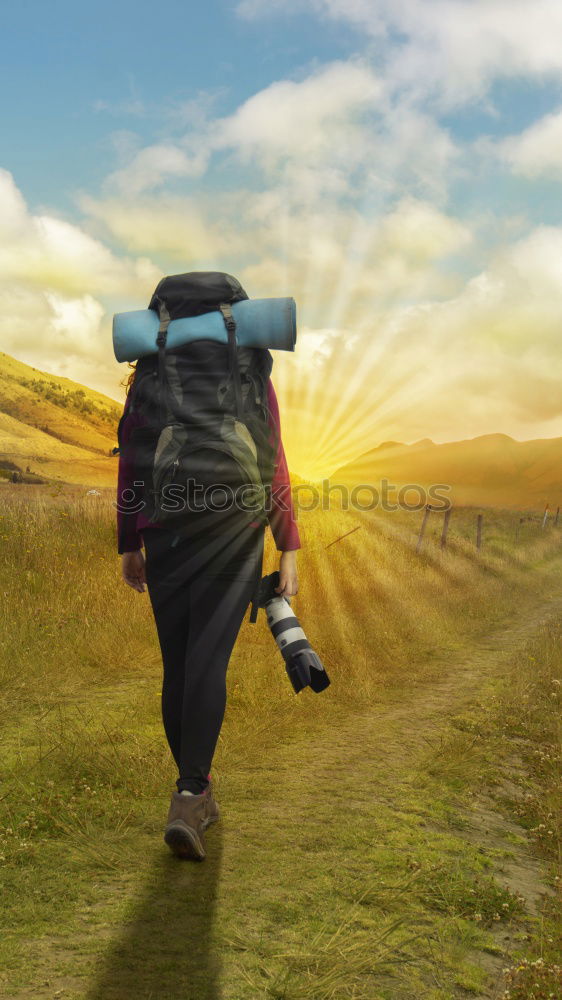 Mom keeps daughter’s hand and walks on the nature in sunset light