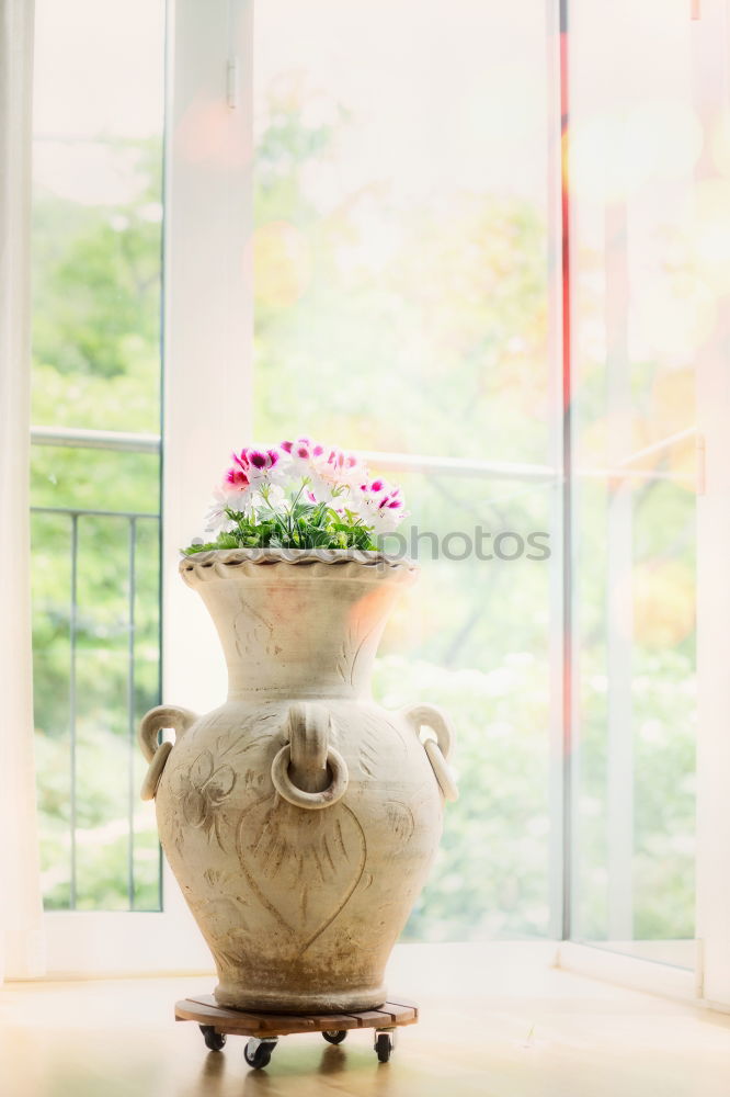 Similar – Terracotta flowerpot with geraniums at the window