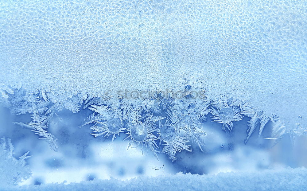 Similar – Image, Stock Photo ice leaves Design