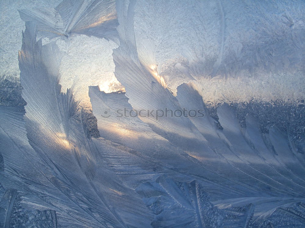 Similar – Frozen Winter Ice Frost