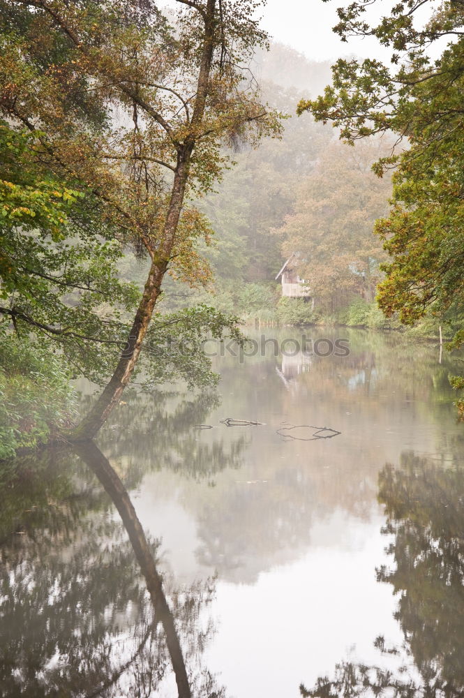 Similar – Image, Stock Photo Bridge and green forest