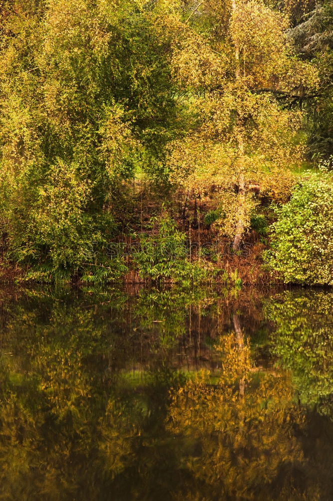 Similar – autumnal impression Pond