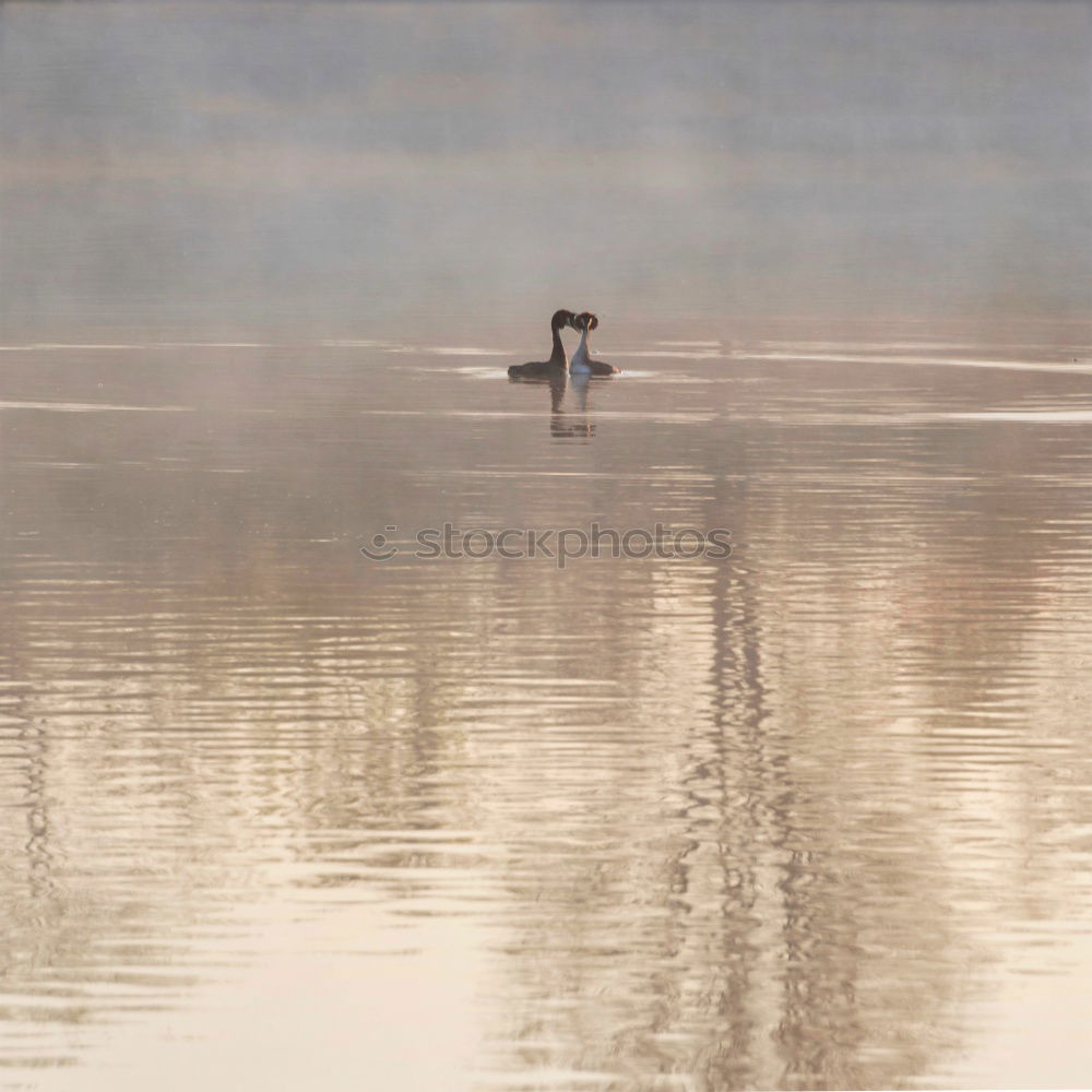 Similar – boot am see Freude