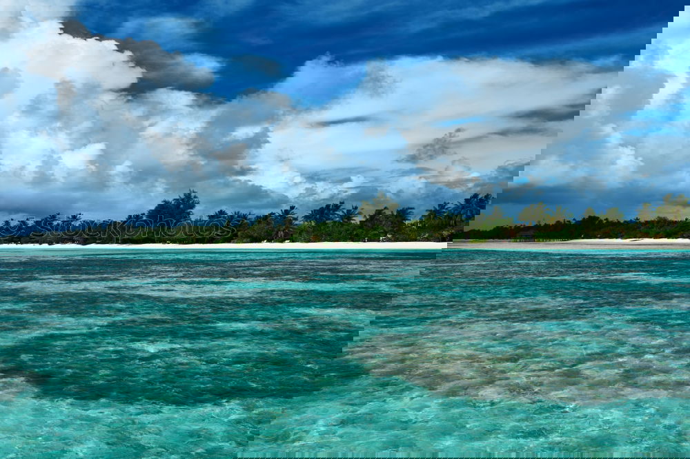 Similar – Image, Stock Photo hardyreef_whitsundays
