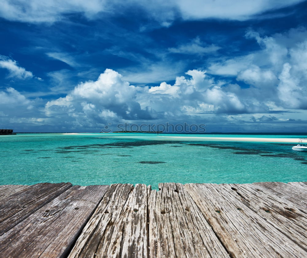 Similar – Image, Stock Photo Bridge to Paradise Nature