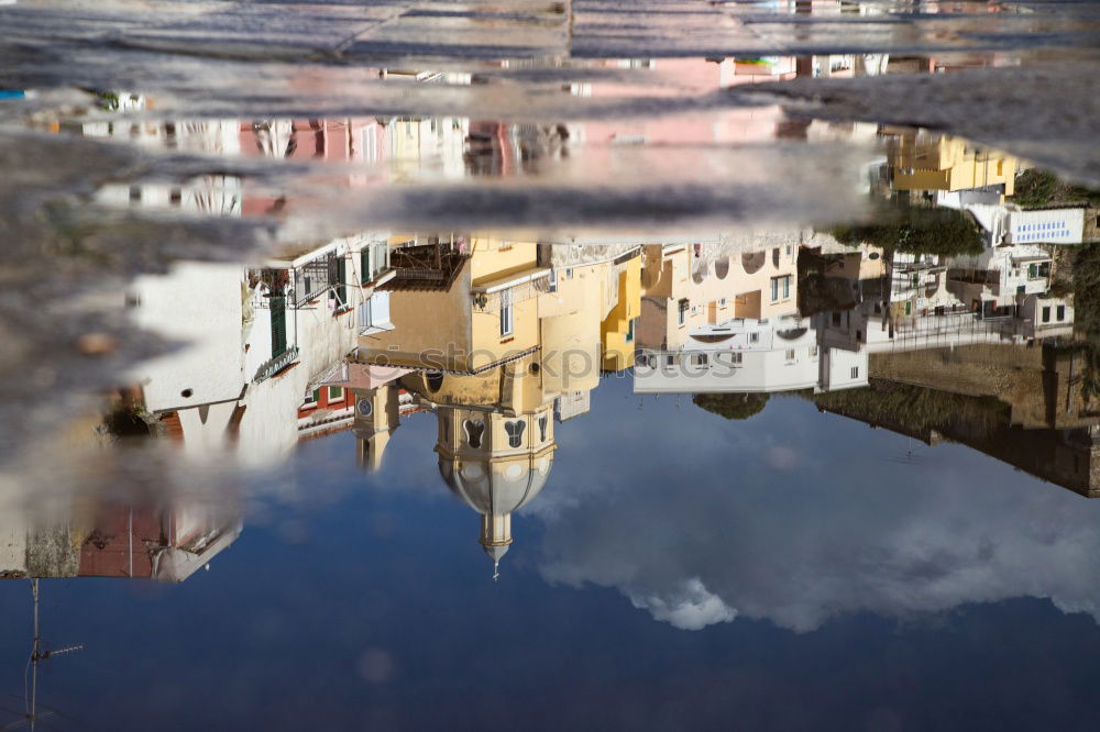 Similar – Image, Stock Photo Snack in the puddle Water