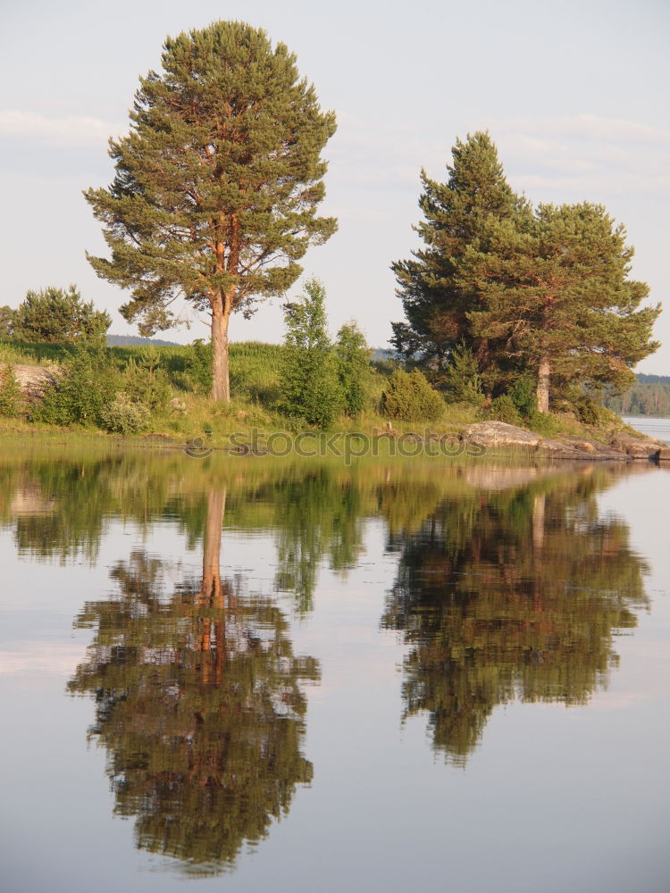 Similar – Image, Stock Photo with no brain Landscape