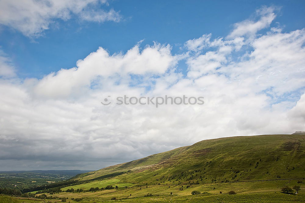 The Roaches: Cloud Show