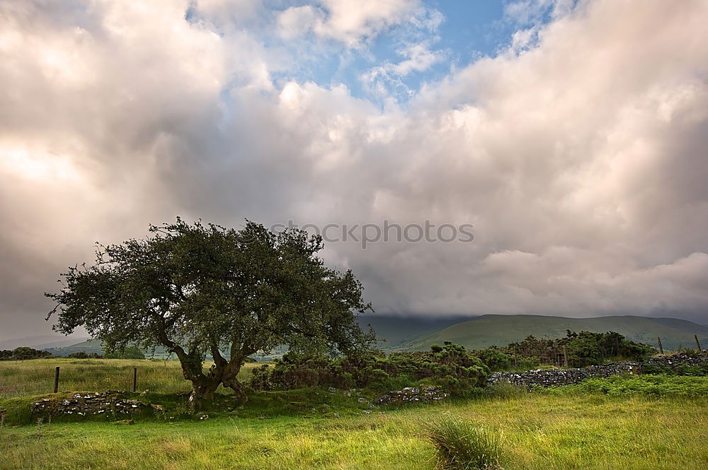 Similar – Image, Stock Photo melancholic