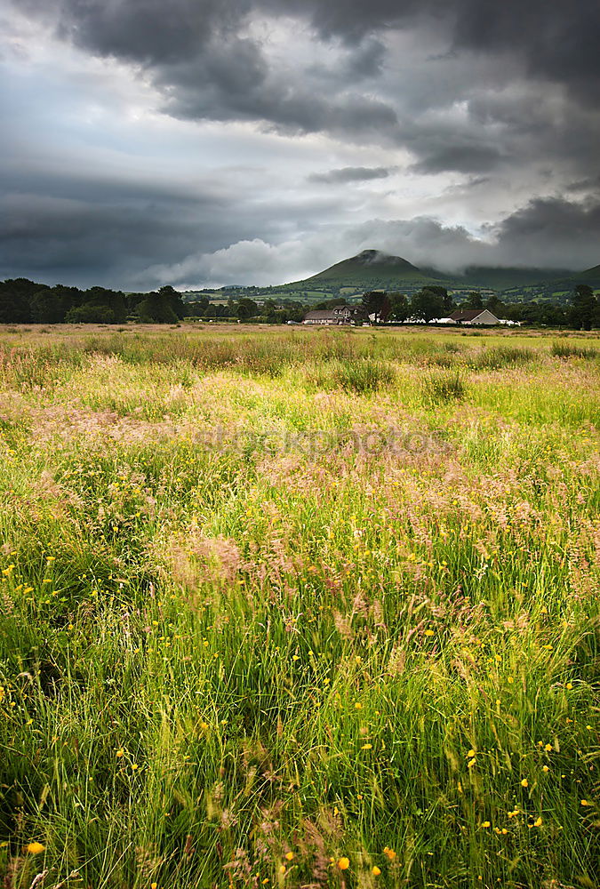 Similar – Image, Stock Photo Lonely farmhouse in the village Brae Of Achnaheird in Scotland