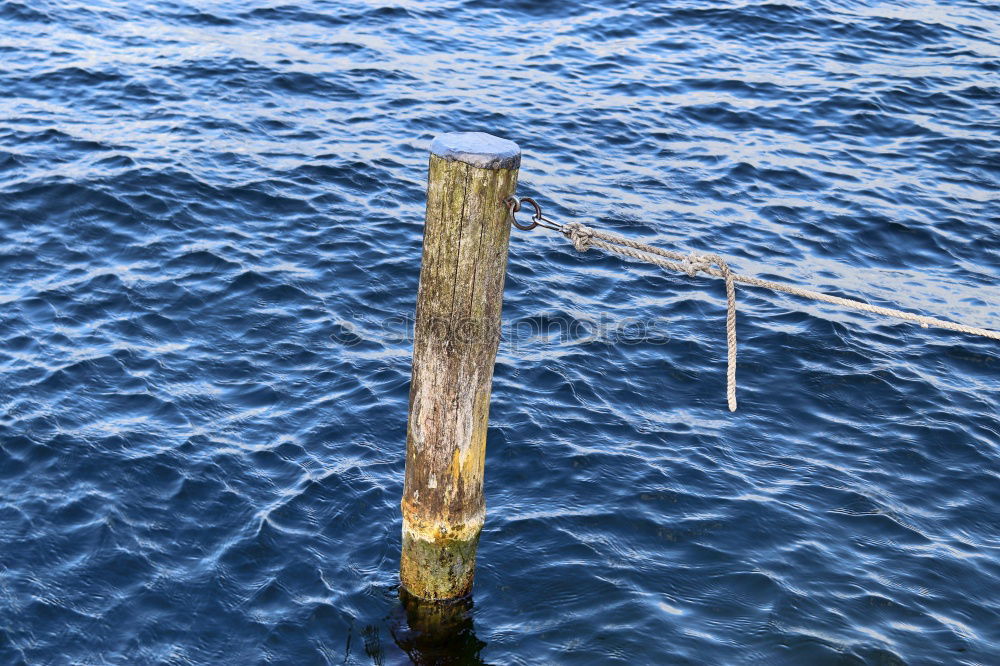 Similar – Image, Stock Photo Mind the step! Water Lake