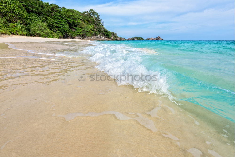 Similar – Beach in New Zealand