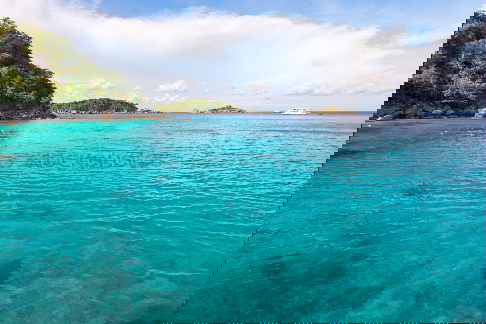 Similar – Image, Stock Photo just relax and unwind