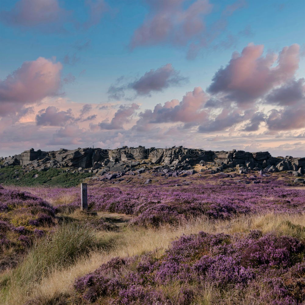 Similar – Image, Stock Photo Heath Landscape in Wales