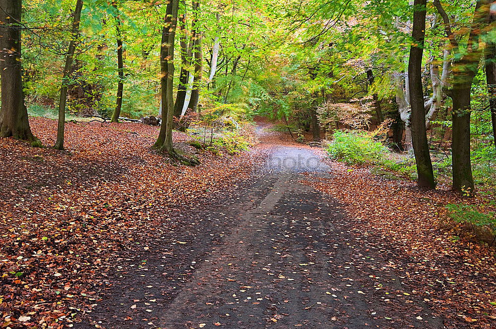 Similar – Image, Stock Photo In-between time