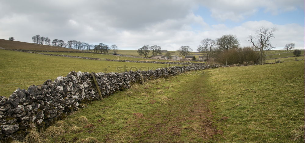 Similar – Rush hour in Schottland