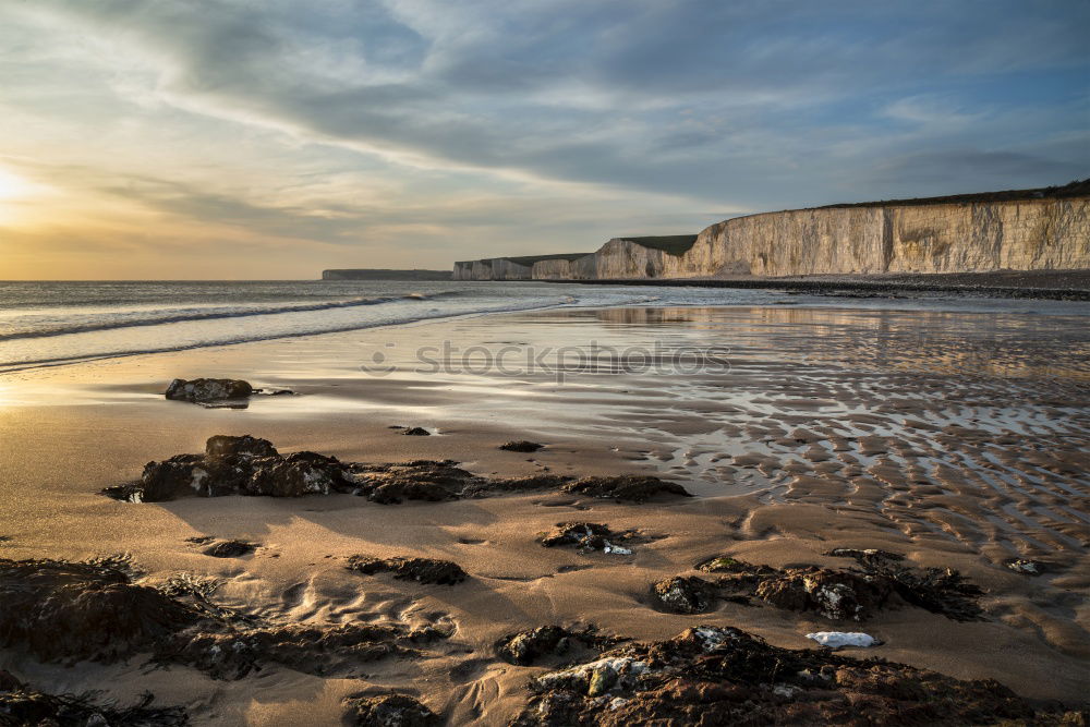 Similar – Image, Stock Photo Hello, morning. Life