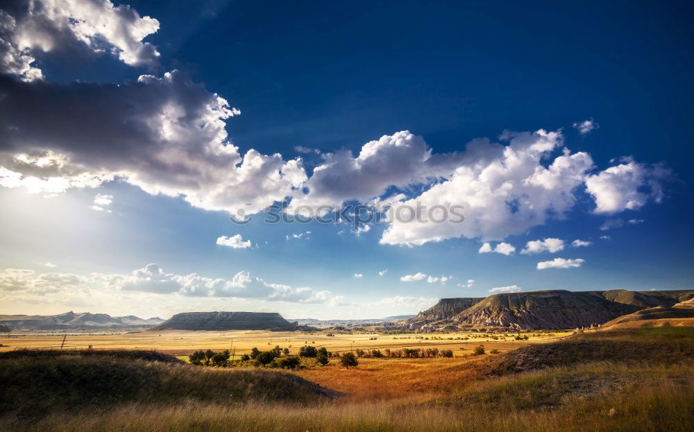 Similar – joshua tree wolken Natur