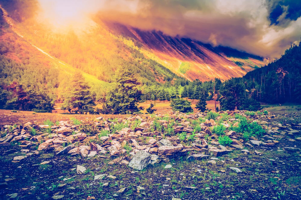 Similar – Image, Stock Photo Alpine village under sun rays