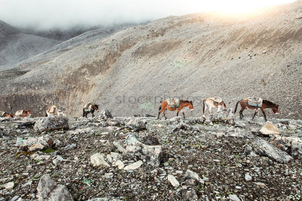 Similar – Image, Stock Photo End time mood in the Dolomites