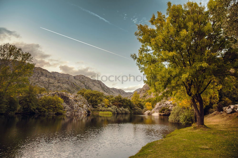 Similar – Image, Stock Photo Göltzsch valley Landscape