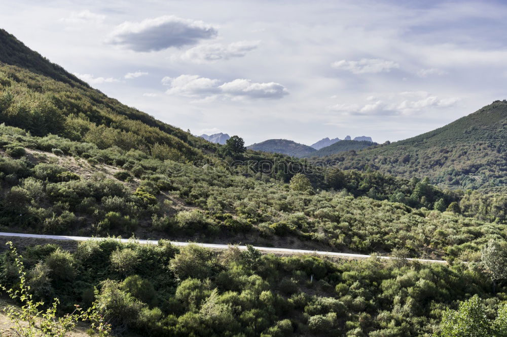 Image, Stock Photo Person riding mountain bike