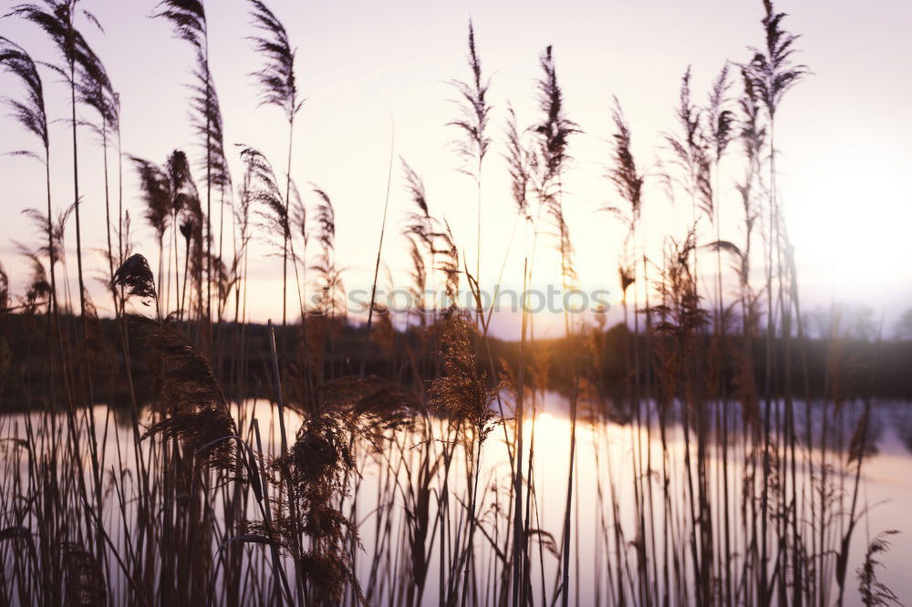 Similar – Image, Stock Photo River running between stones