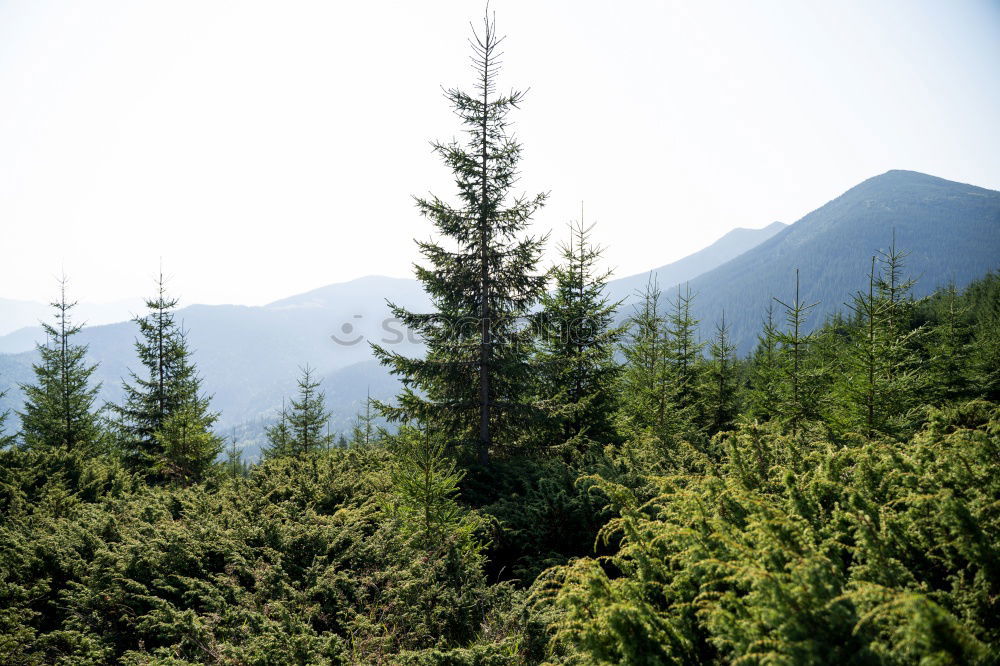 Similar – Image, Stock Photo Diamond Peak Landscape