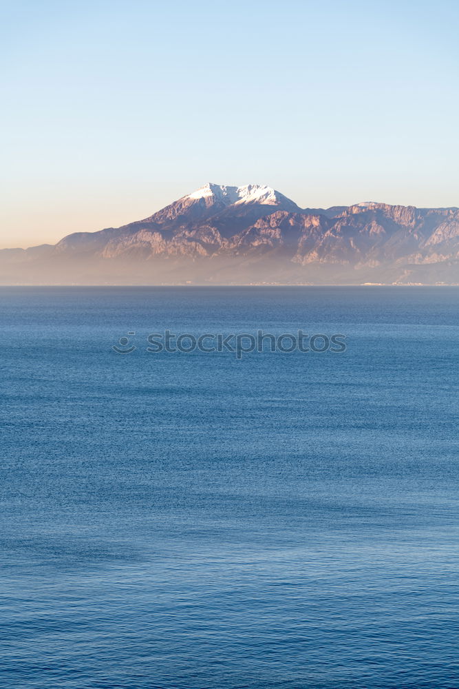 Image, Stock Photo vine Nature Landscape Blue