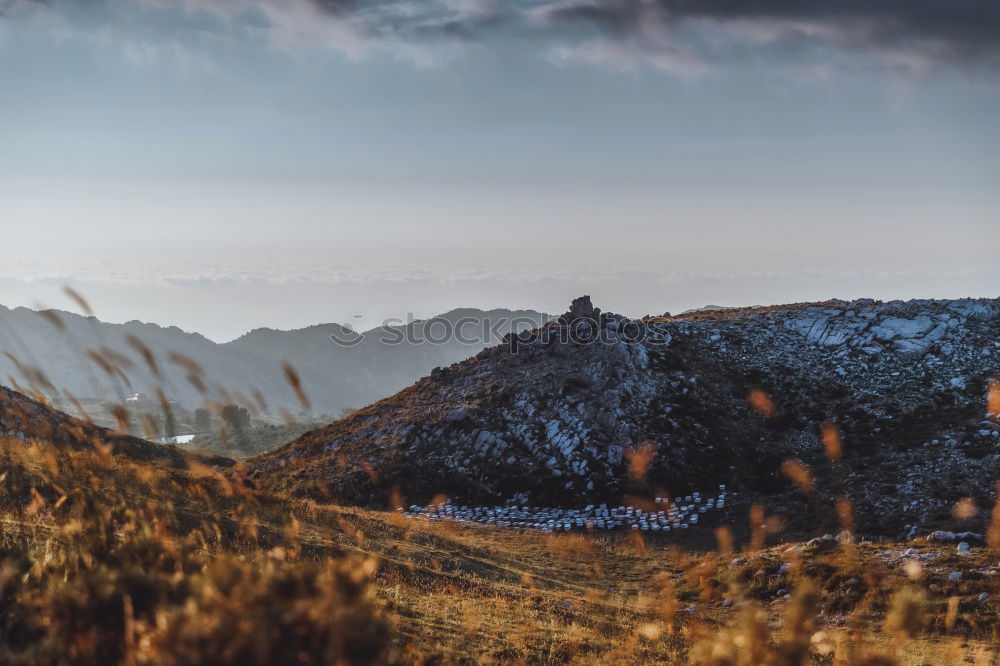 Similar – Image, Stock Photo Eagle’s Nest Landscape