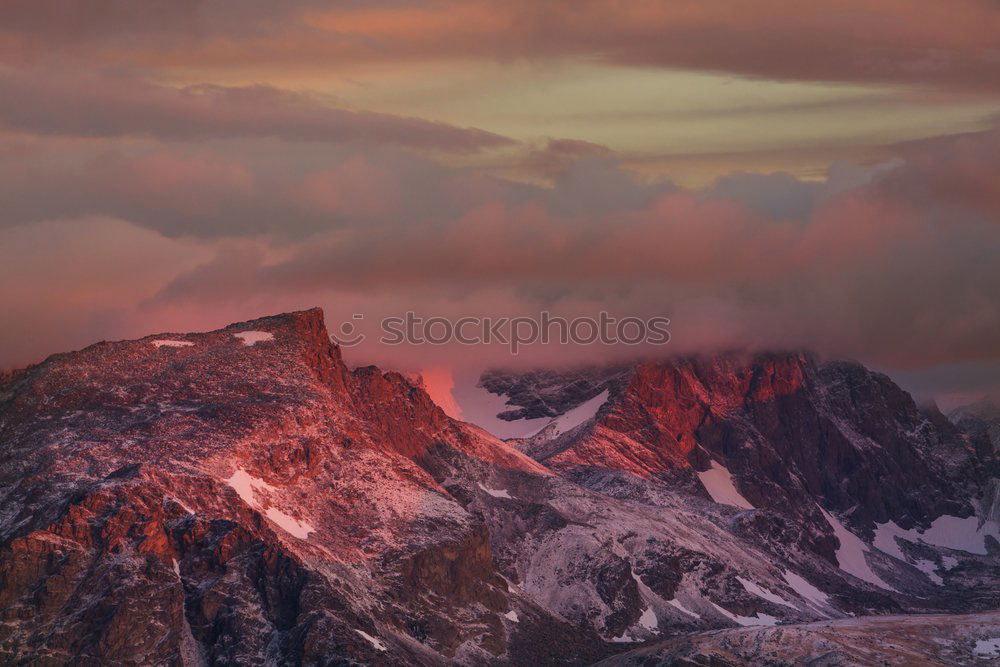 Similar – Image, Stock Photo good morning sunshine